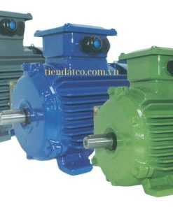 Động cơ điện Teco IE1 IE2 IE3