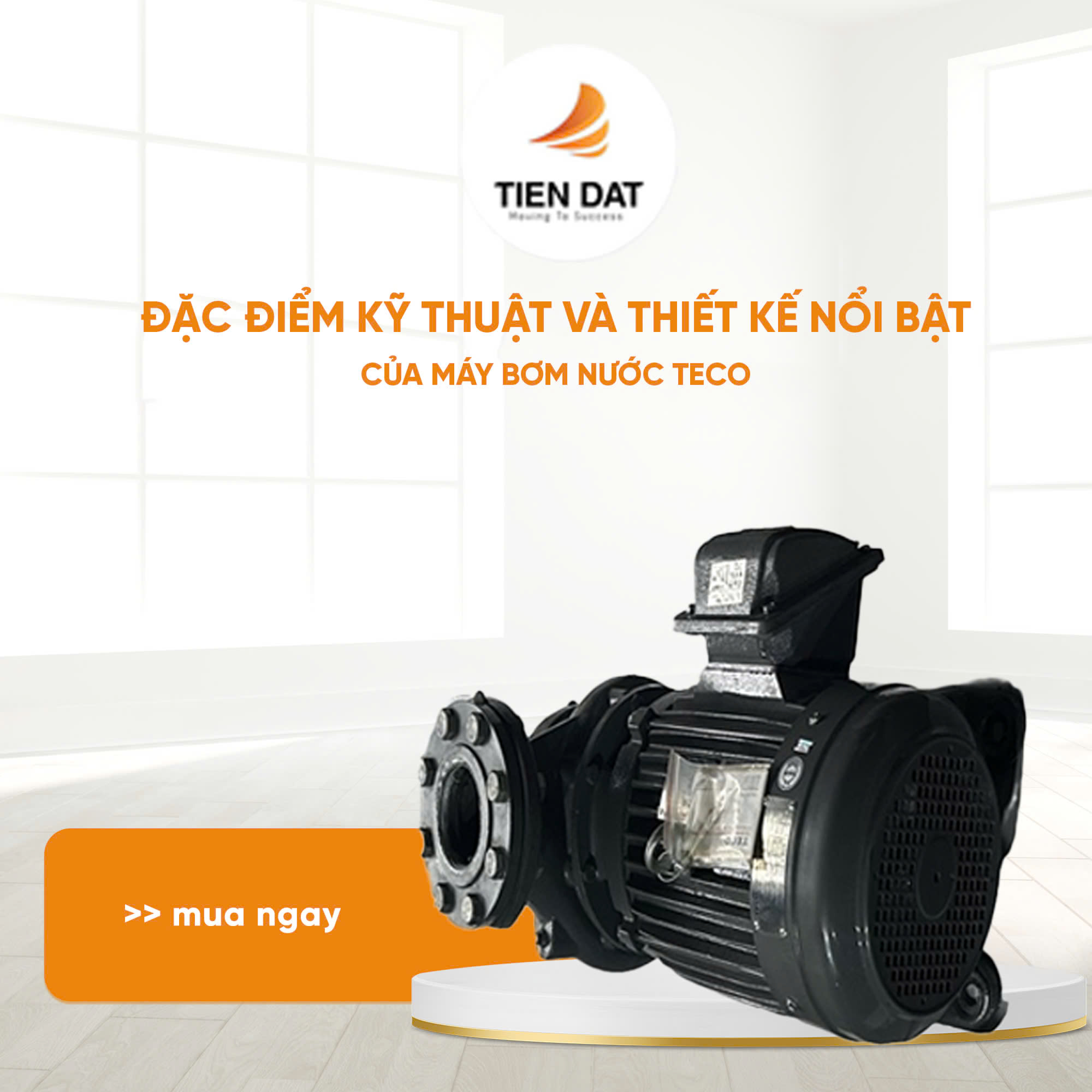 Máy Bơm Nước Teco