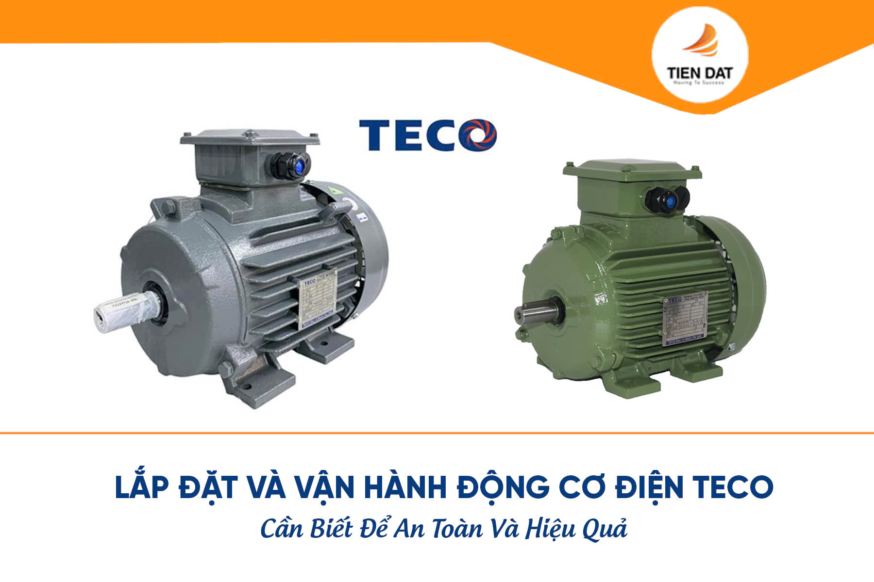 Động Cơ Điện Teco