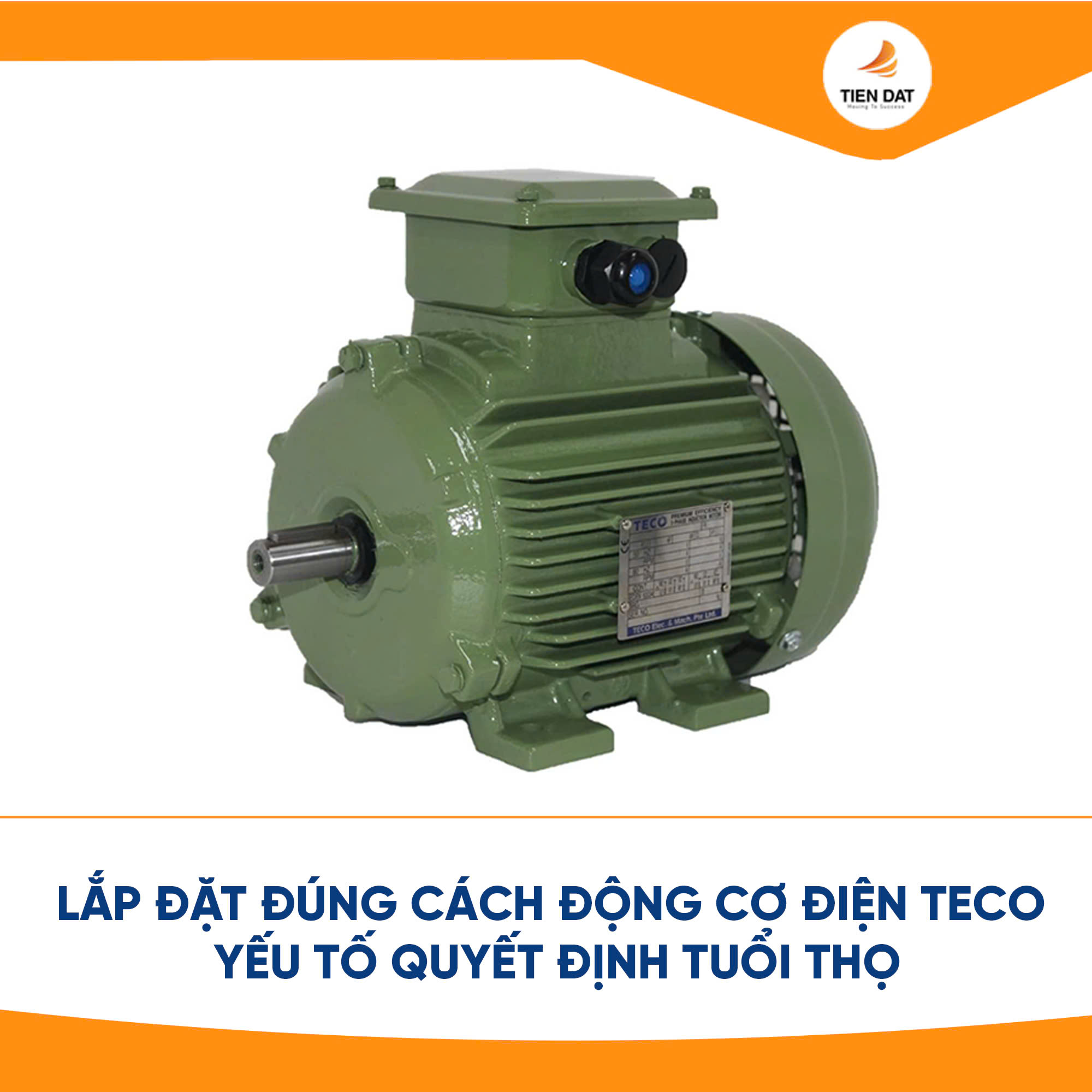 Động Cơ Điện Teco