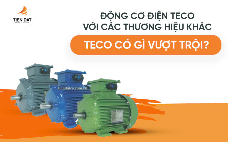 Động Cơ Điện Teco