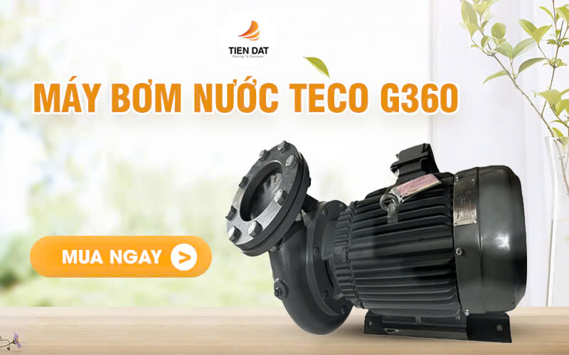 Máy Bơm Nước Teco