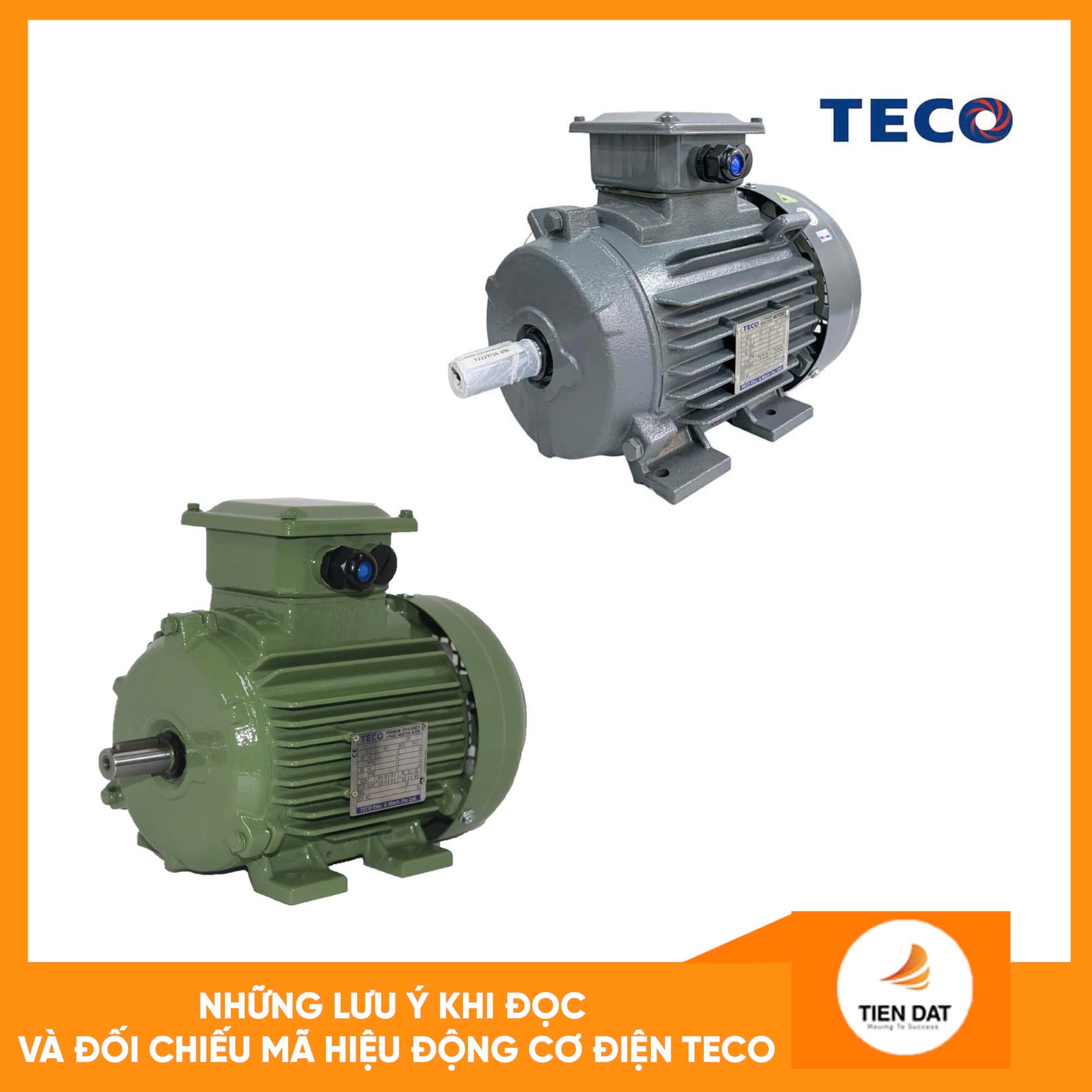 Động Cơ Điện Teco