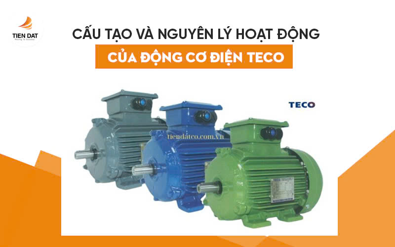 Động Cơ Điện Teco
