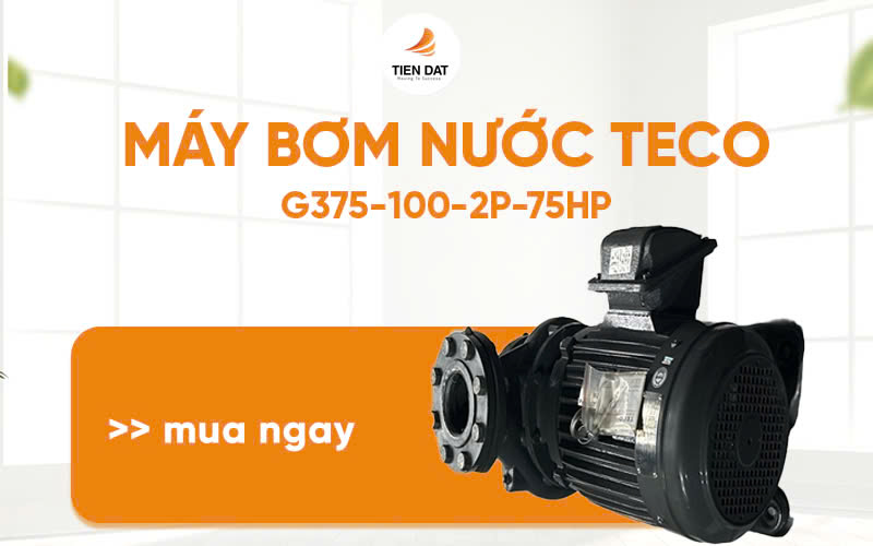 Máy Bơm Nước Teco