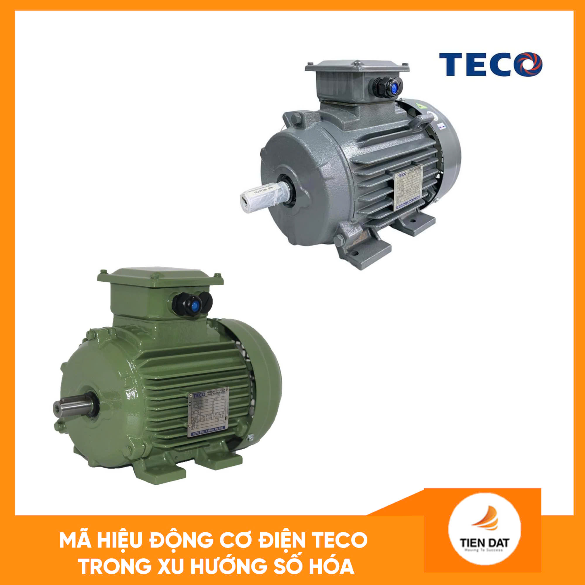 Động Cơ Điện Teco
