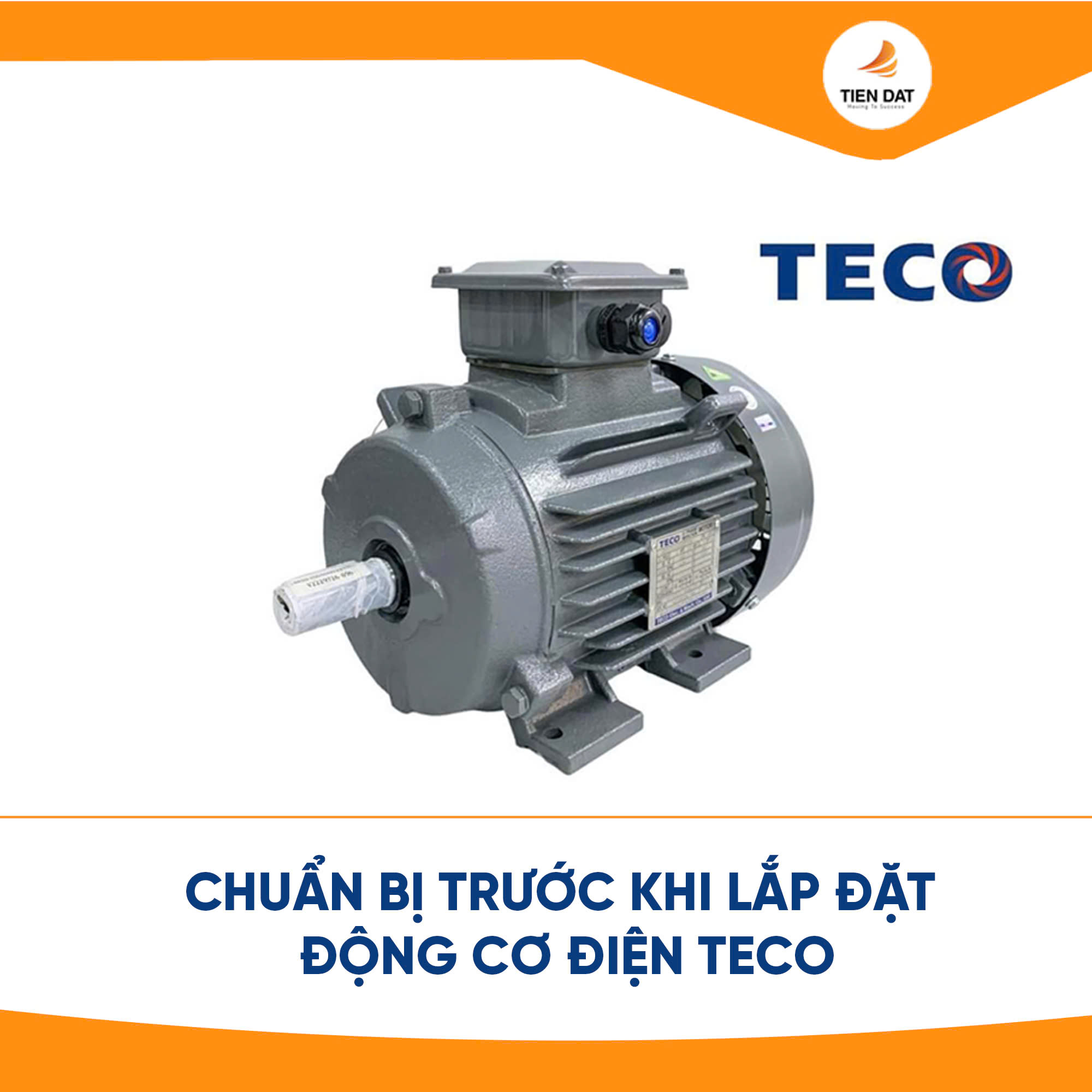 Động Cơ Điện Teco
