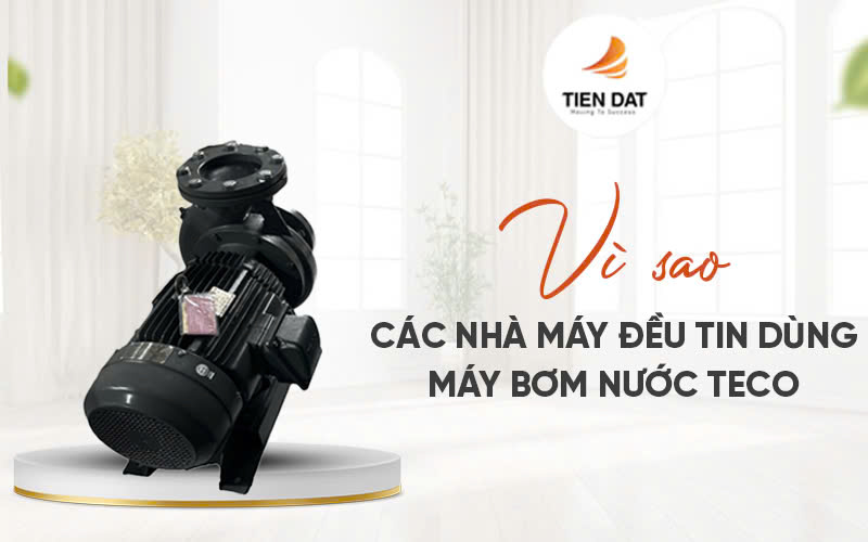 Máy Bơm Nước Teco