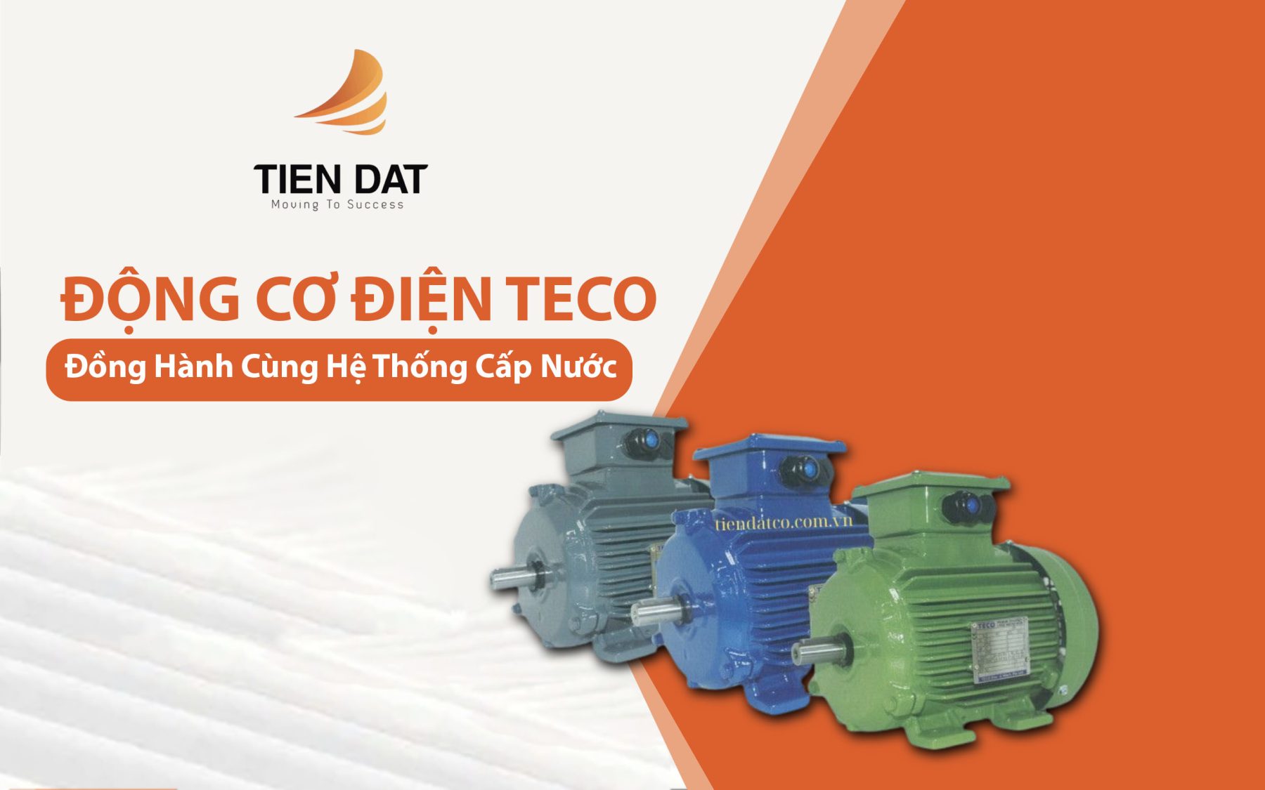 Động Cơ Điện Teco