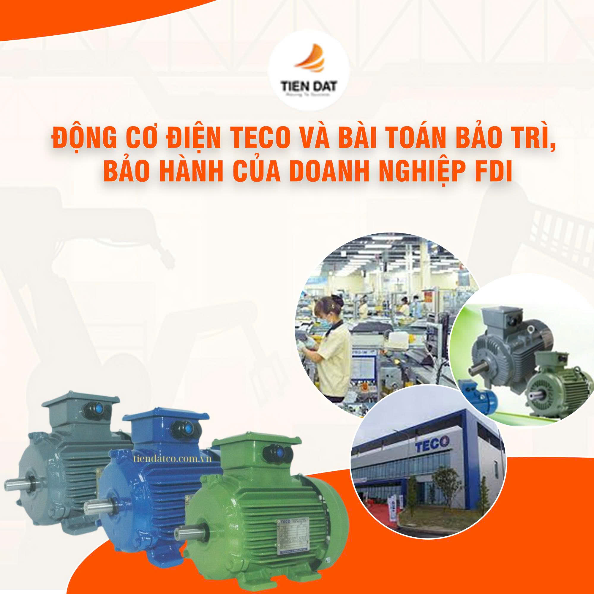 Động Cơ Điện Teco
