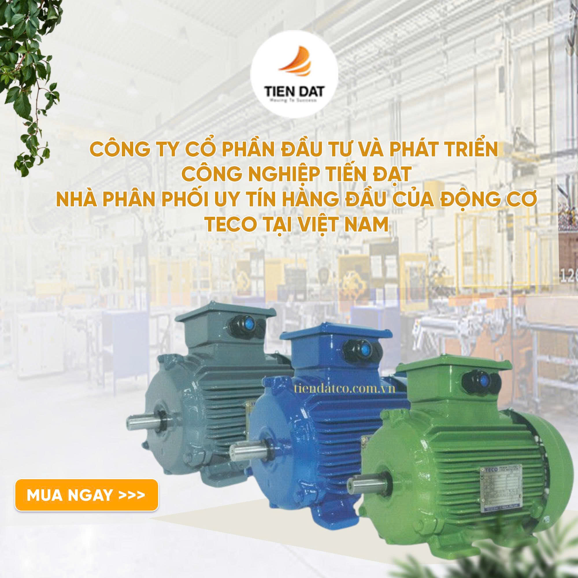 Động Cơ Điện Teco