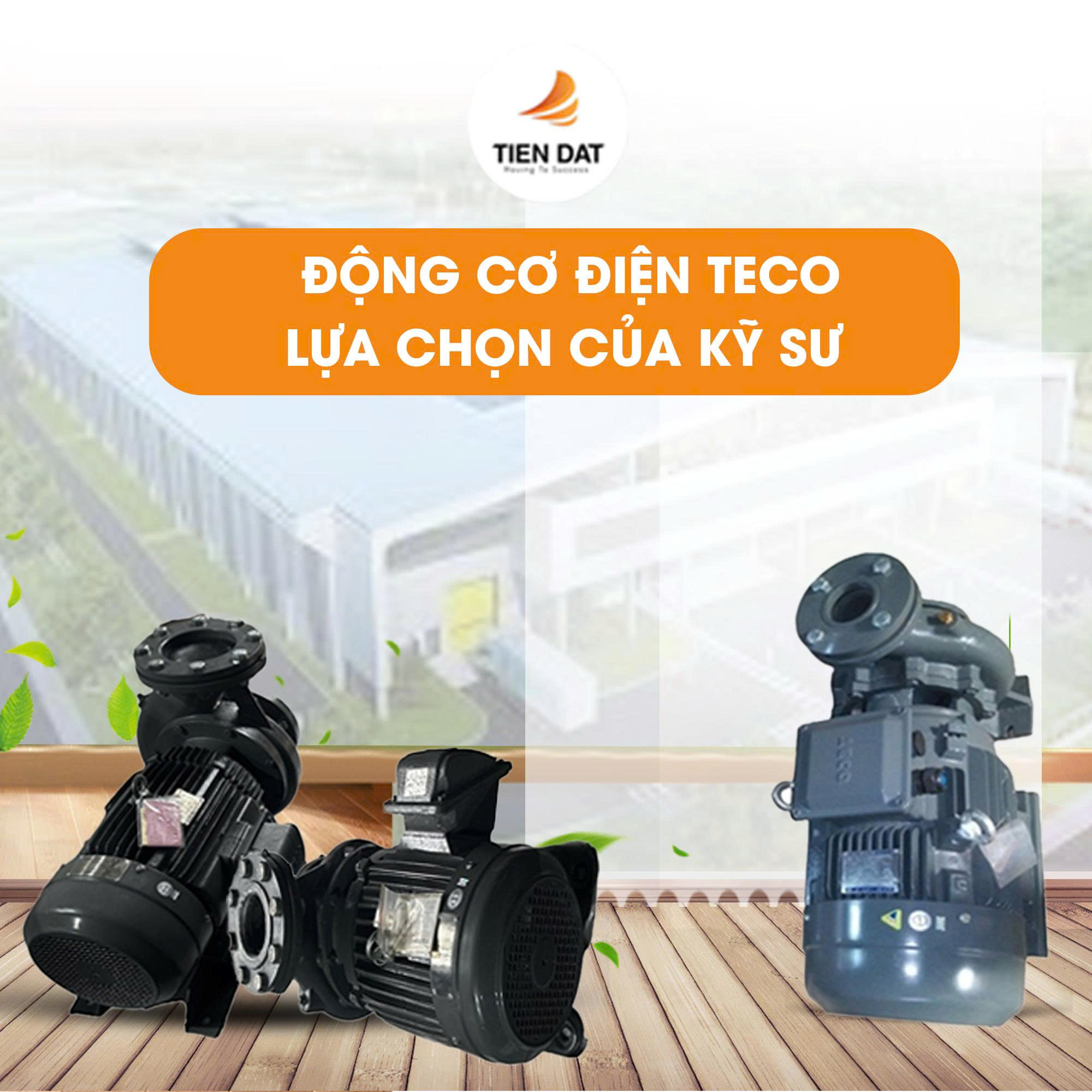 Động Cơ Điện Teco