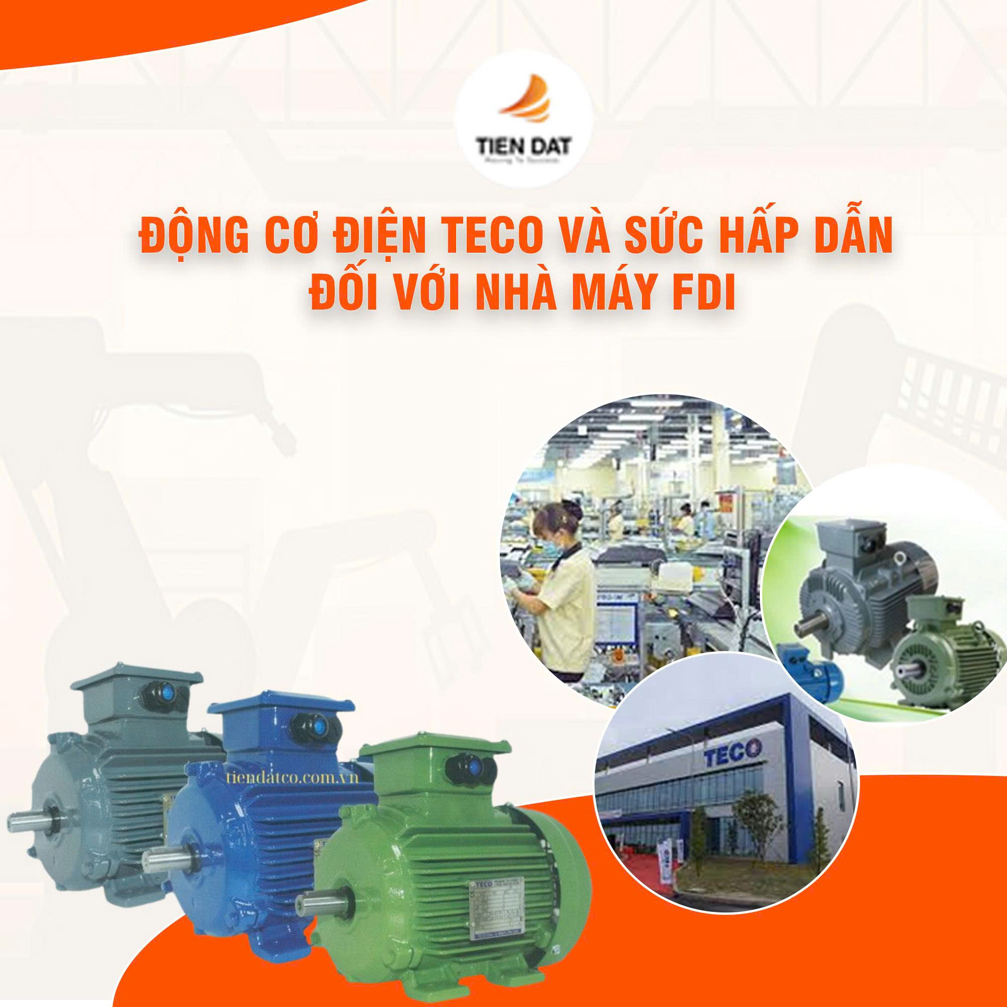 Động Cơ Điện Teco