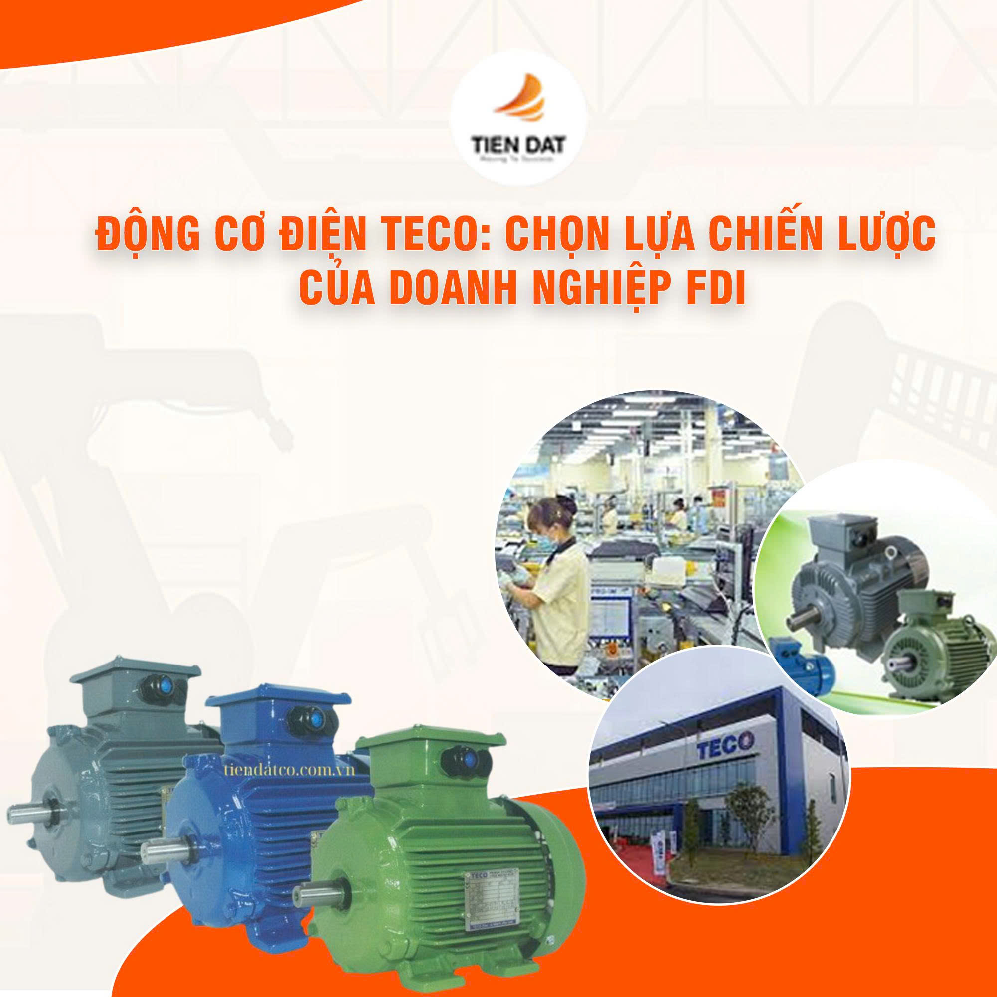 Động Cơ Điện Teco