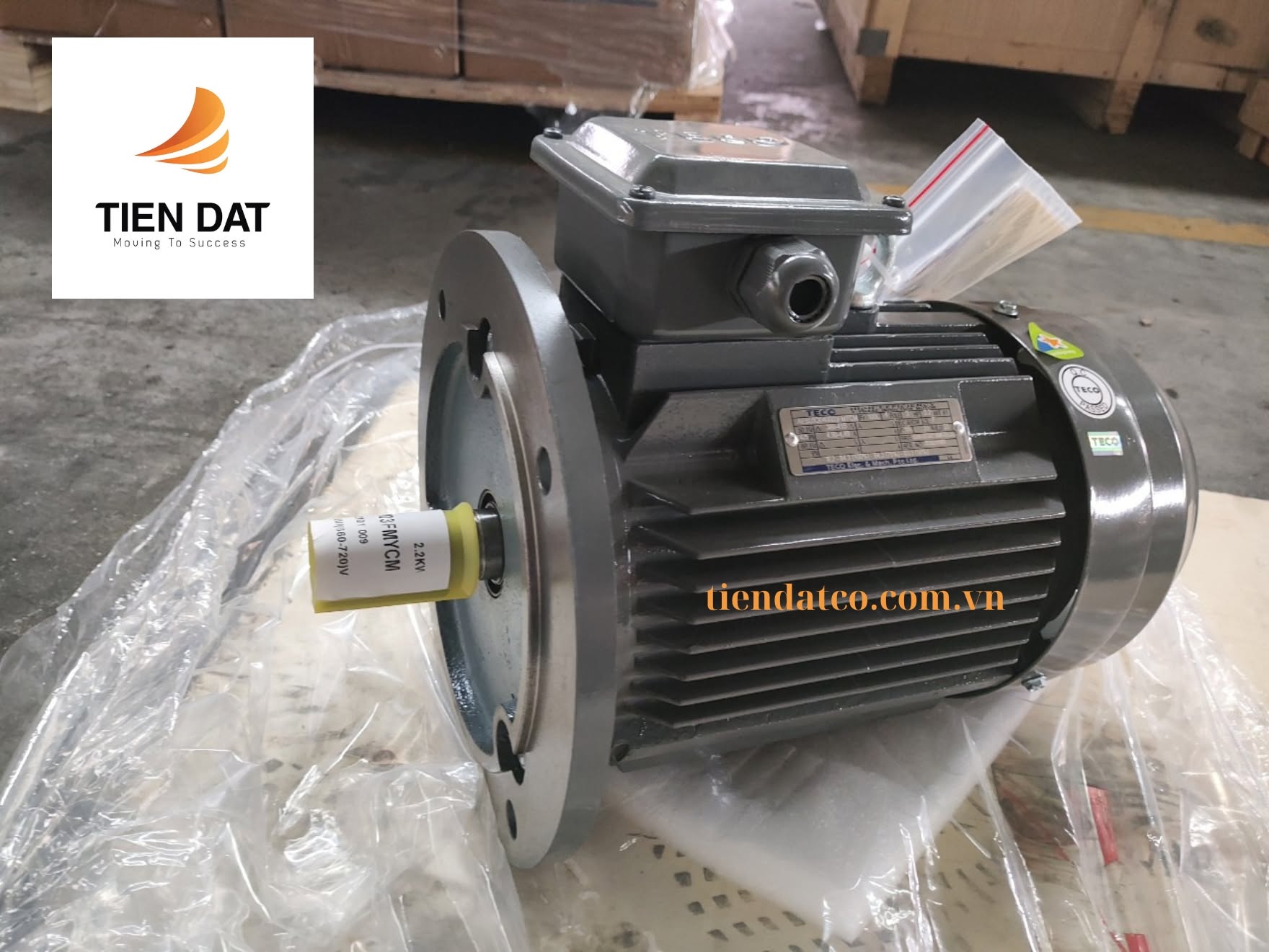 máy bơm nước teco